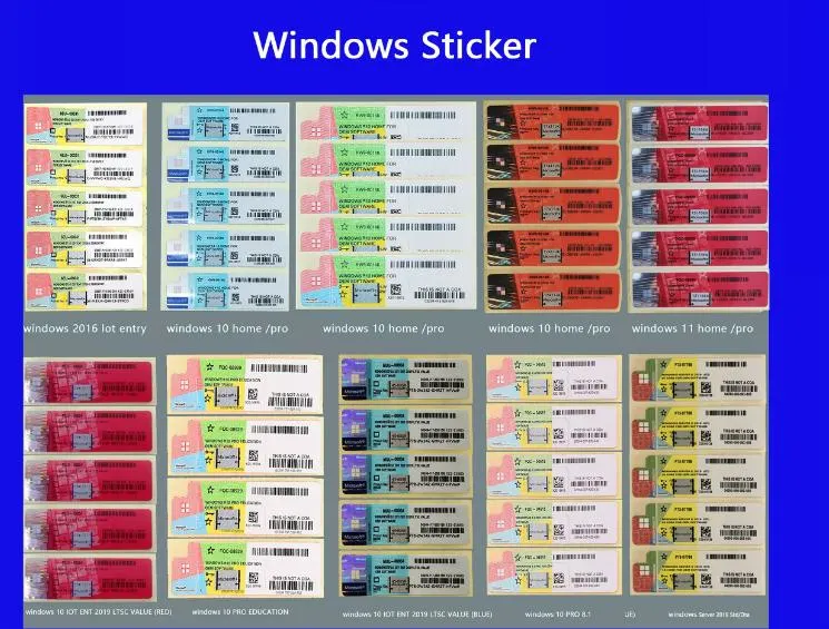Korean/ English/Japanese/ Russian Windows 11 Professional USB Retail Box Windows 11 PRO