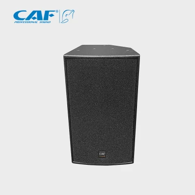 Durable Hot Popular Outdoor Performance Audio Speakers System Sound